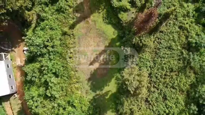 Investment / For Construction Plot For Sale In Gonio, In Khelvachauri Municipality view 6