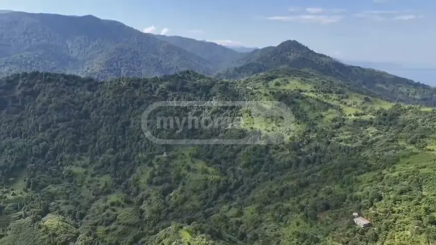 Investment / For Construction Plot For Sale In Gonio, In Khelvachauri Municipality view 10