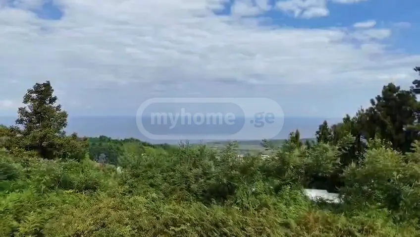Investment / For Construction Plot For Sale In Gonio, In Khelvachauri Municipality view 1