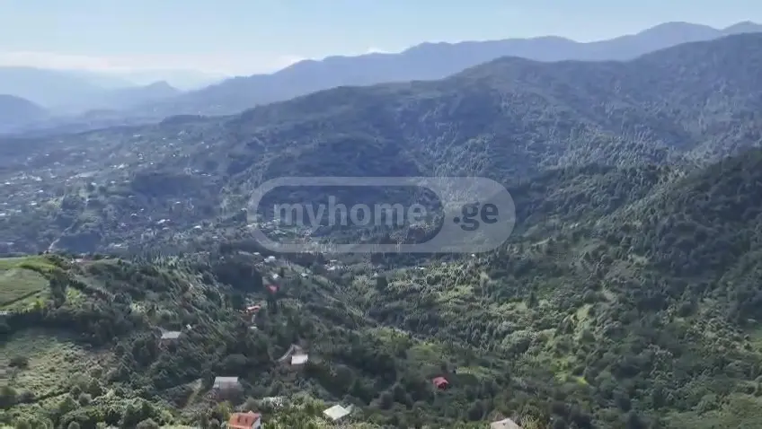 Investment / For Construction Plot For Sale In Gonio, In Khelvachauri Municipality view 9
