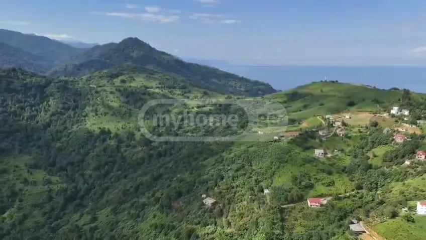 Investment / For Construction Plot For Sale In Gonio, In Khelvachauri Municipality view 8
