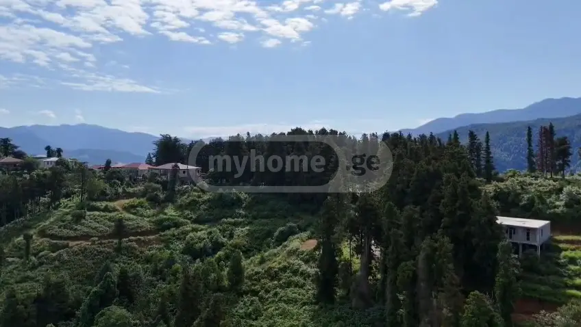 Investment / For Construction Plot For Sale In Gonio, In Khelvachauri Municipality view 5