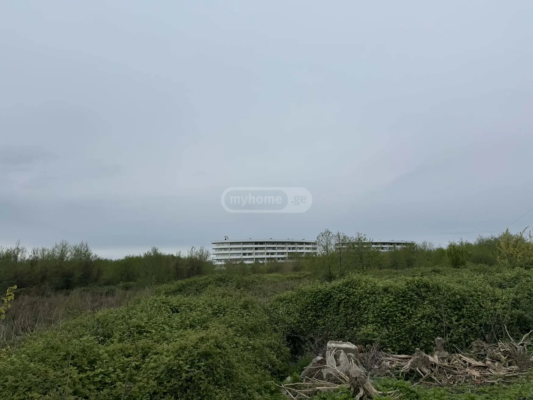 Non-Agricultural Plot For Sale In Anaklia, In Zugdidi Municipality view 1