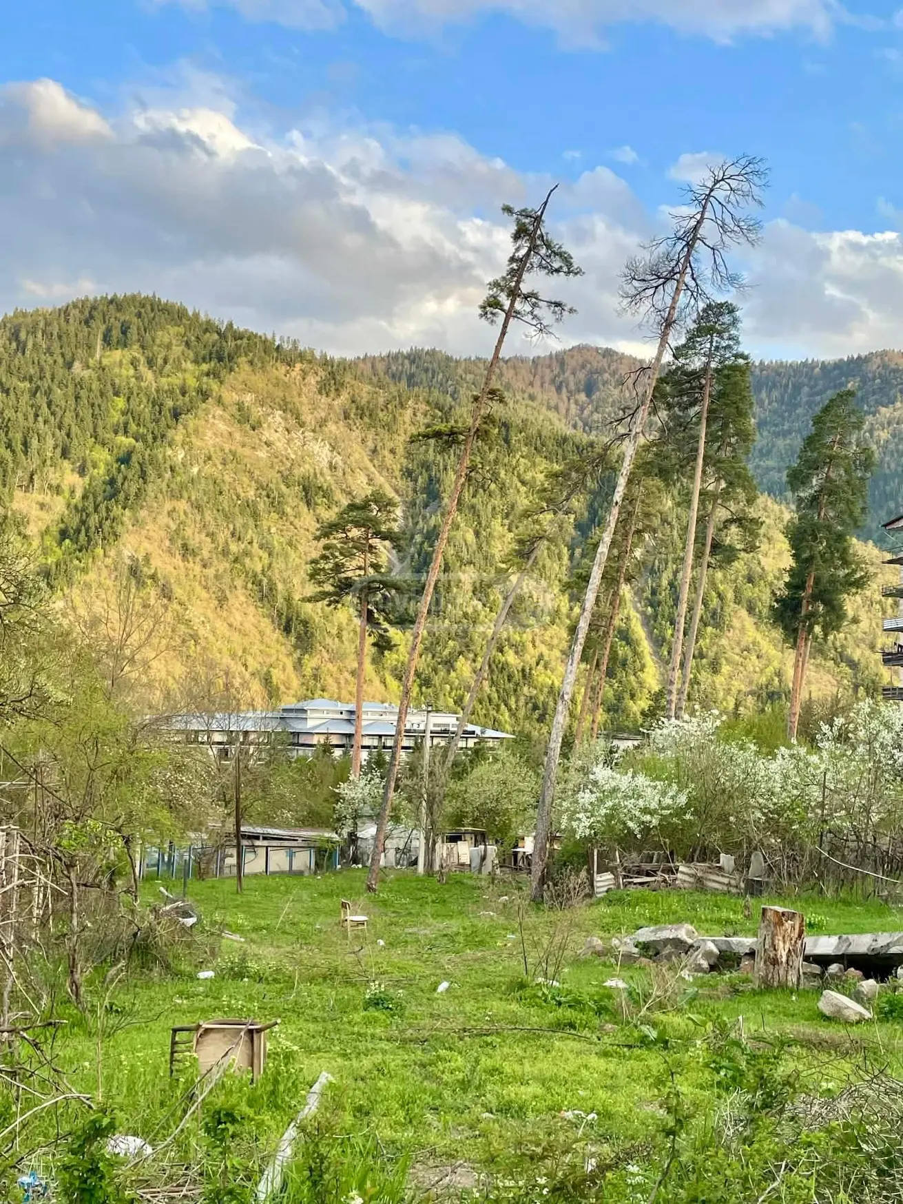 Продажа Non-Agricultural Plot в In Borjomi view 3