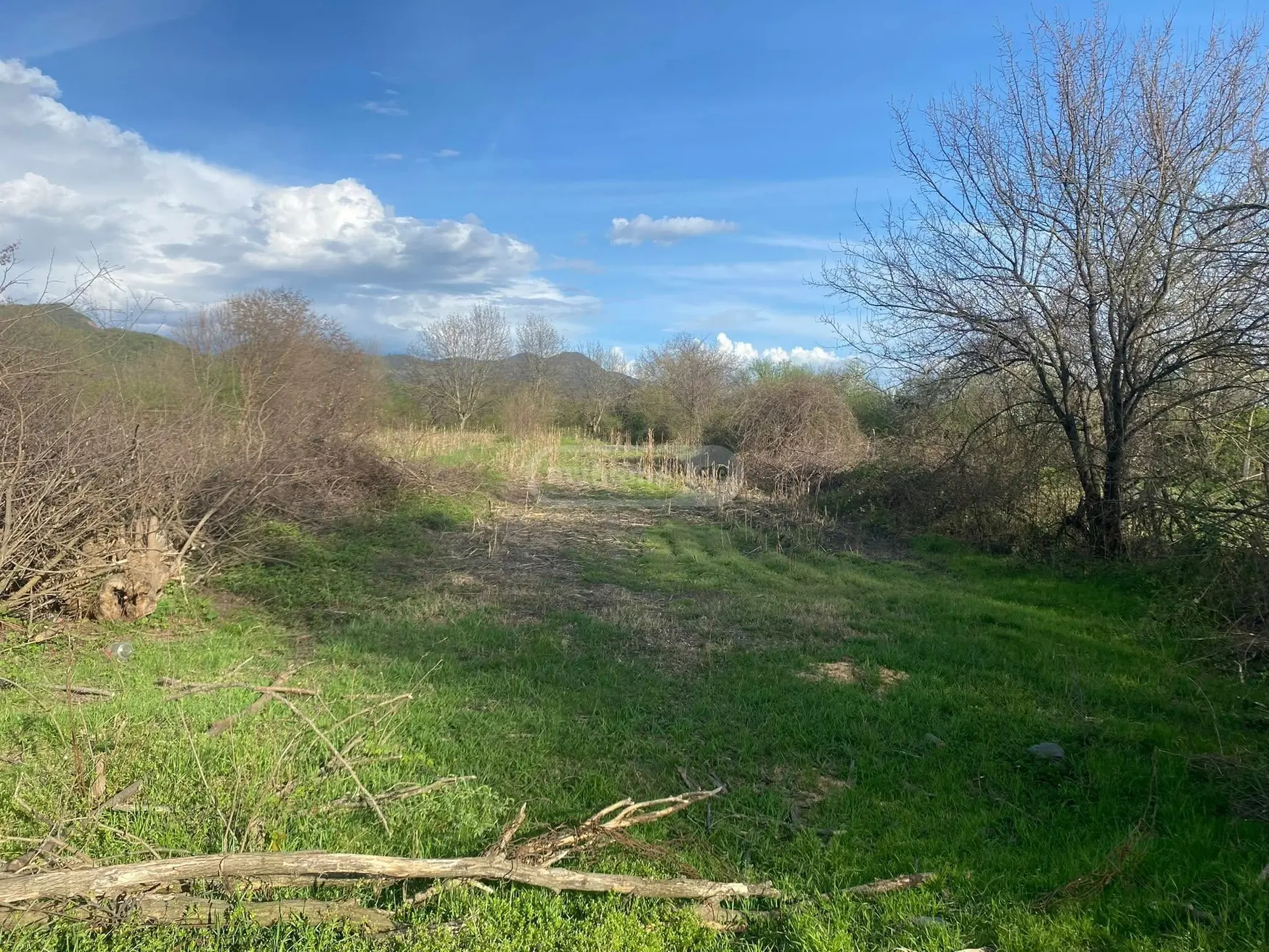 Продажа Agricultural Plot в In Naphareuli, In Telavi Municipality view 3