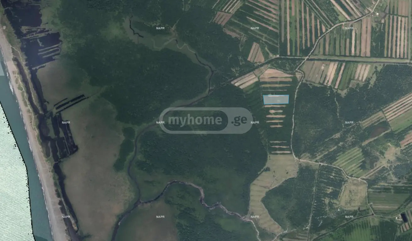 იყიდება Agricultural Plot In Ergeta, In Zugdidi Municipalityში view 2