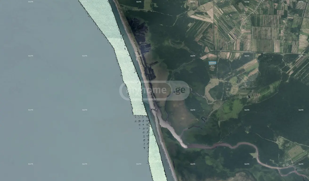 იყიდება Agricultural Plot In Ergeta, In Zugdidi Municipalityში view 1