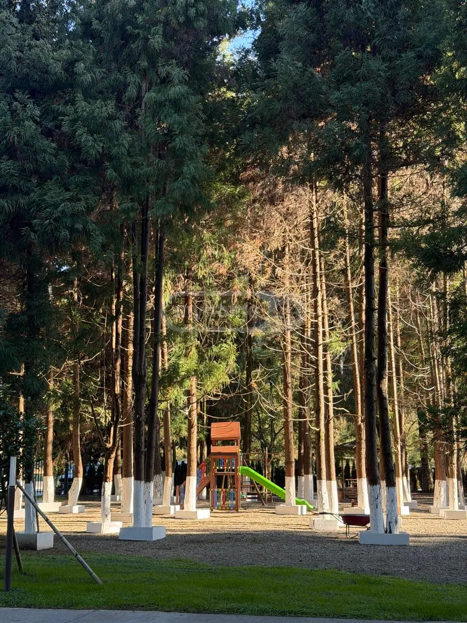 1 Room Apartment For Sale view 9