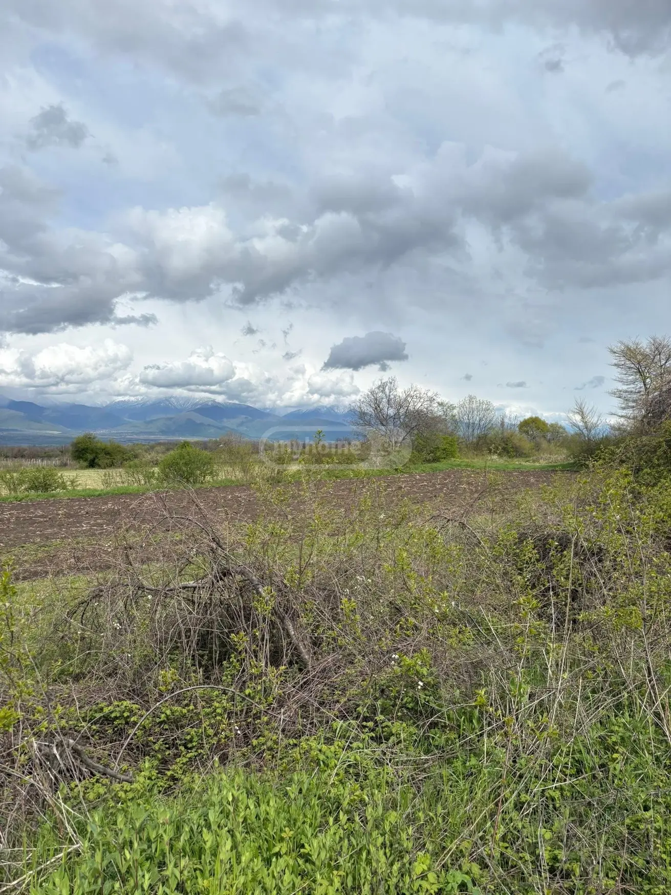 Продажа Commercial Plot в In Kisiskhevi, In Telavi Municipality view 5