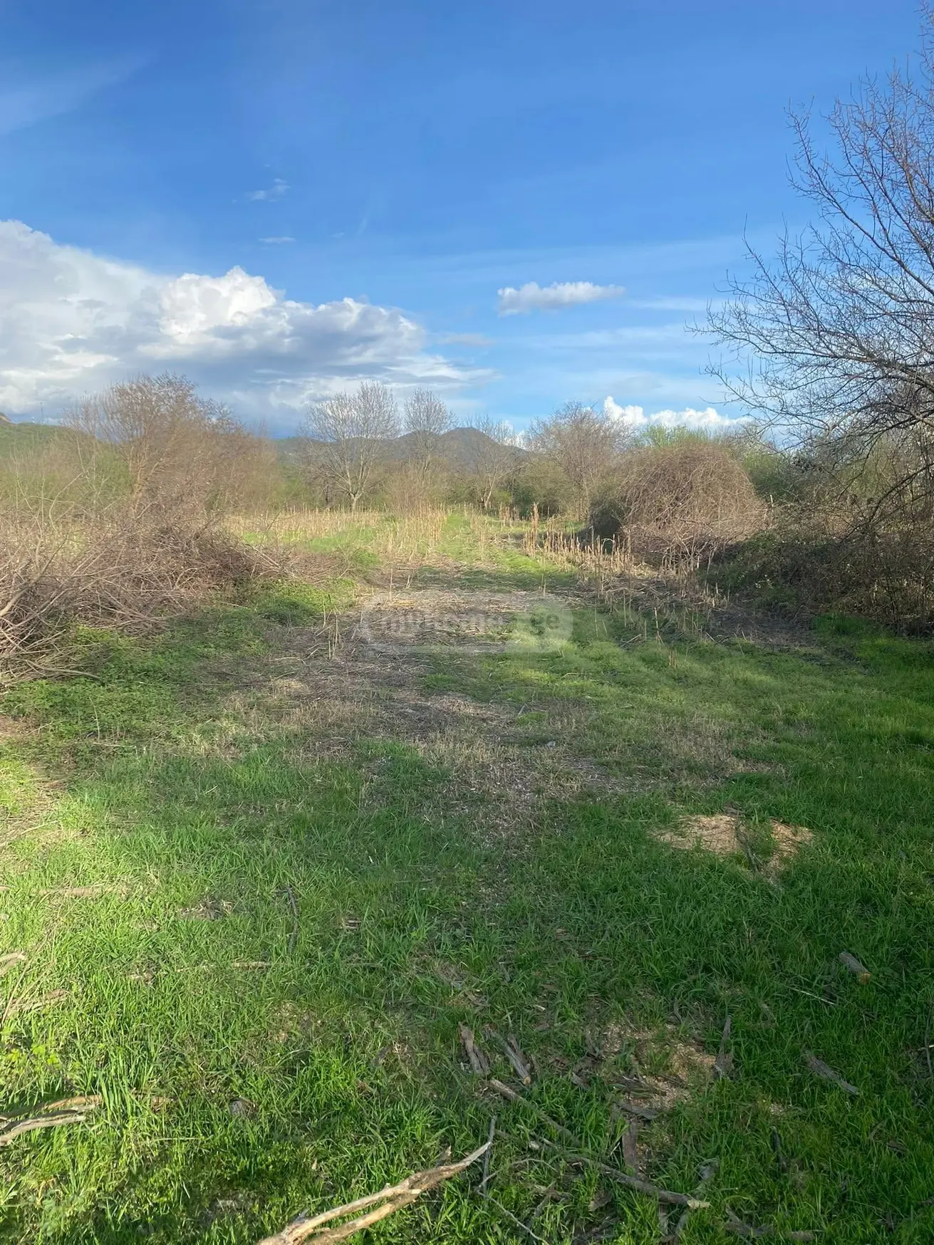 Продажа Agricultural Plot в In Naphareuli, In Telavi Municipality view 1
