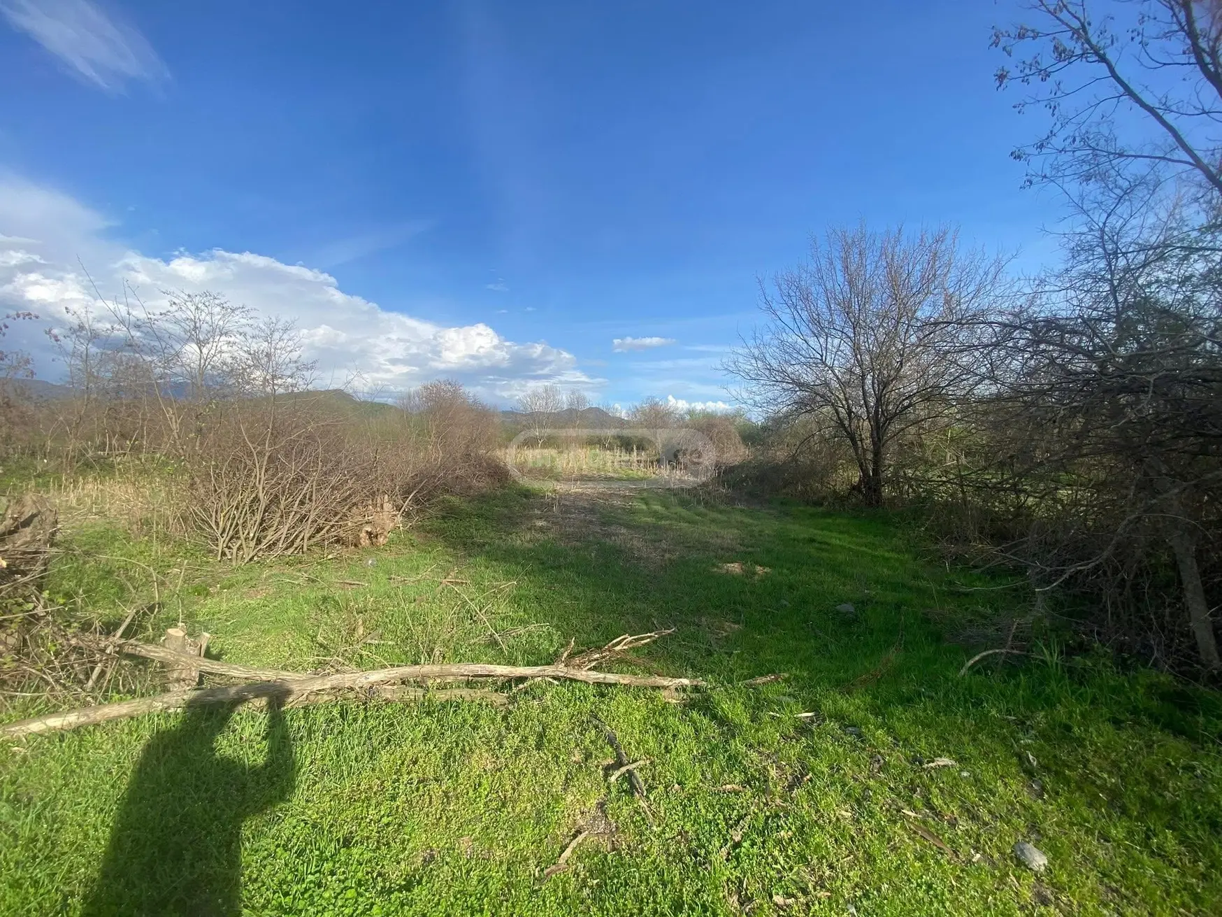 Продажа Agricultural Plot в In Naphareuli, In Telavi Municipality view 4