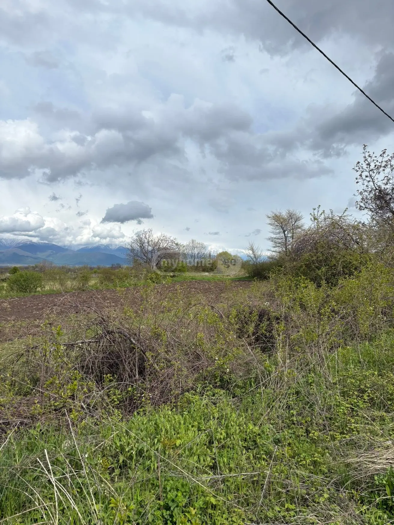 Продажа Commercial Plot в In Kisiskhevi, In Telavi Municipality view 4