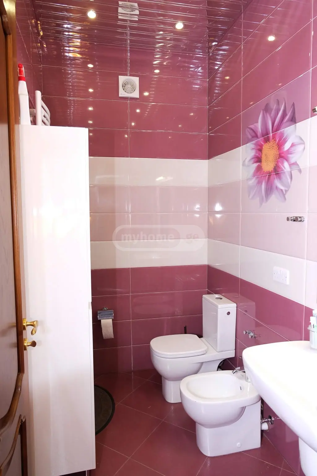 10+ Room Country House For Sale In Tskneti view 11