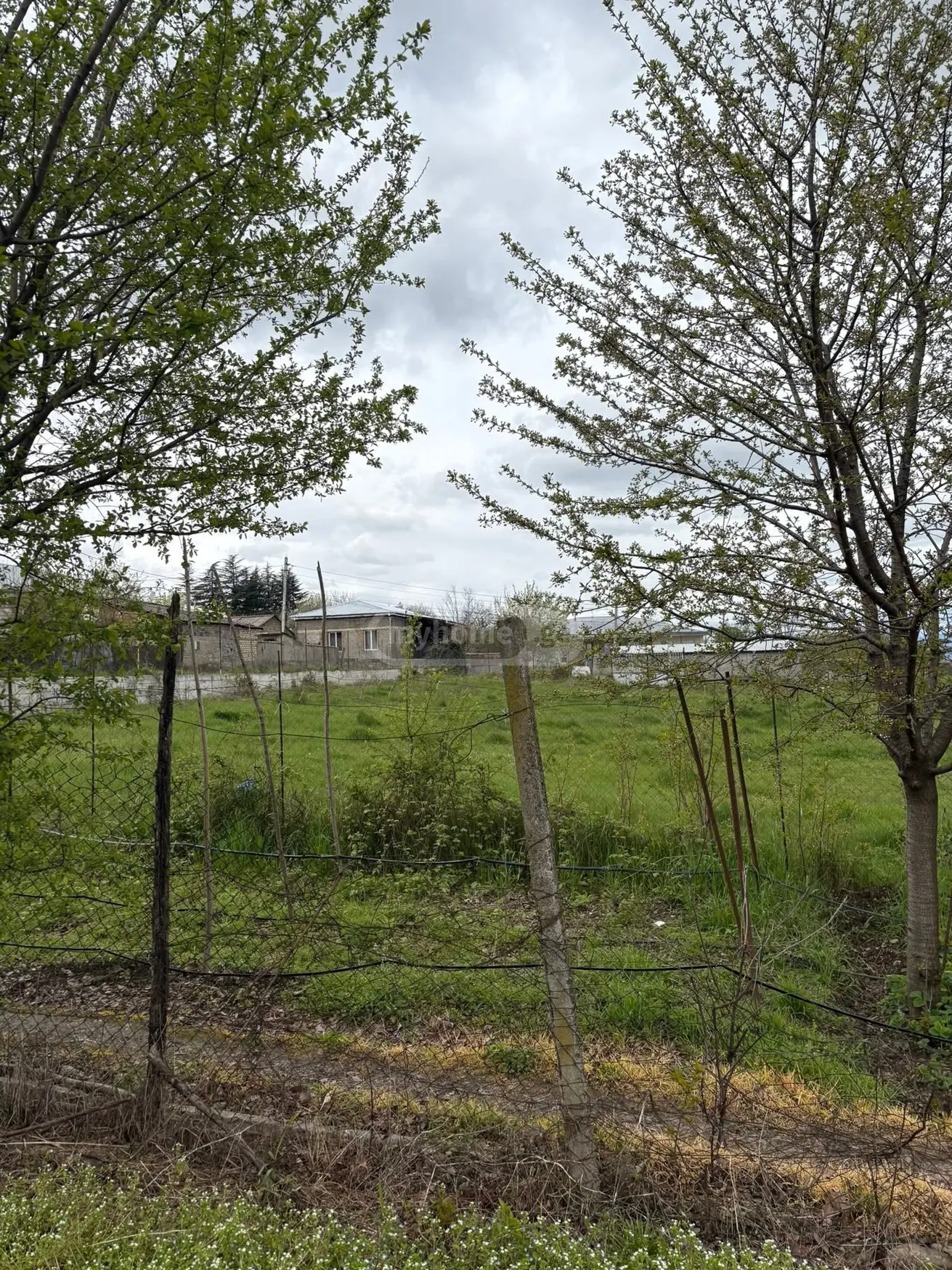 Agricultural Plot For Sale In Vardisubani, In Telavi Municipality view 4