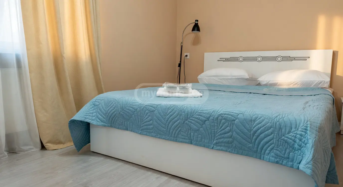 2 Room Apartment Daily Rent In Digomi view 9