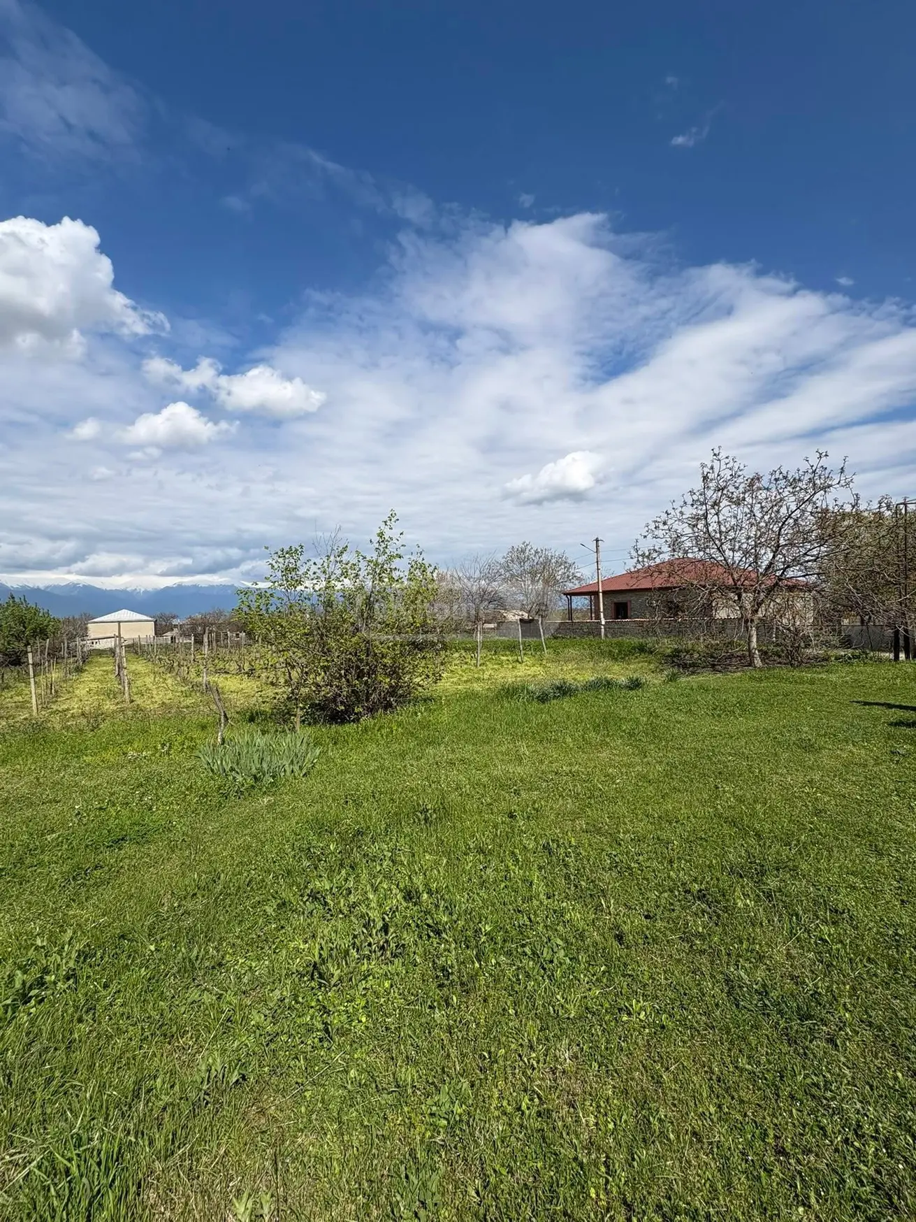 Agricultural Plot For Sale In Ruispiri, In Telavi Municipality view 3