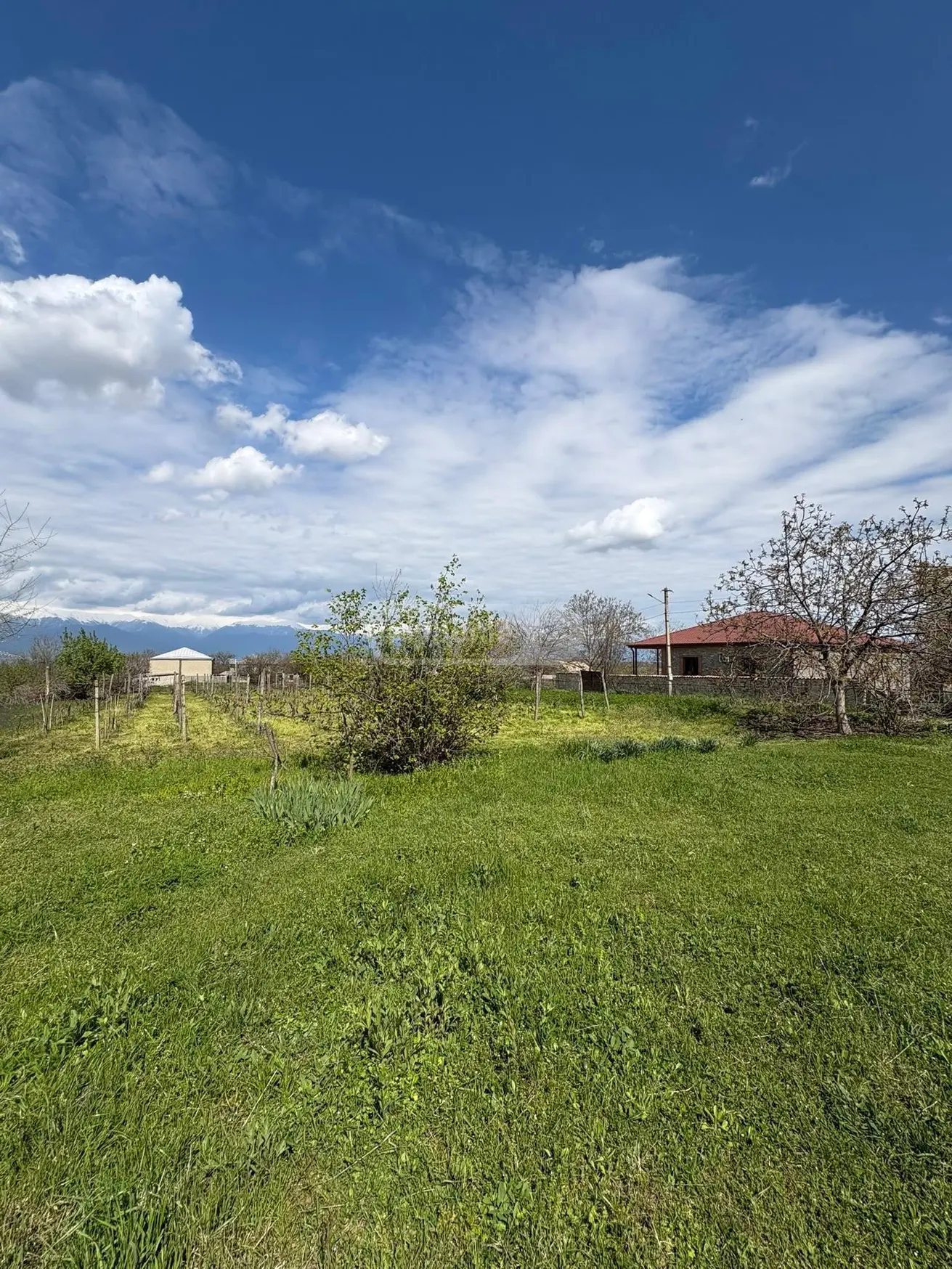 Agricultural Plot For Sale In Ruispiri, In Telavi Municipality view 2