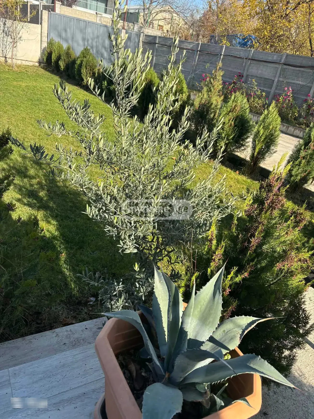 5 Room Country House For Rent In Saguramo, In Mtskheta Municipality view 5