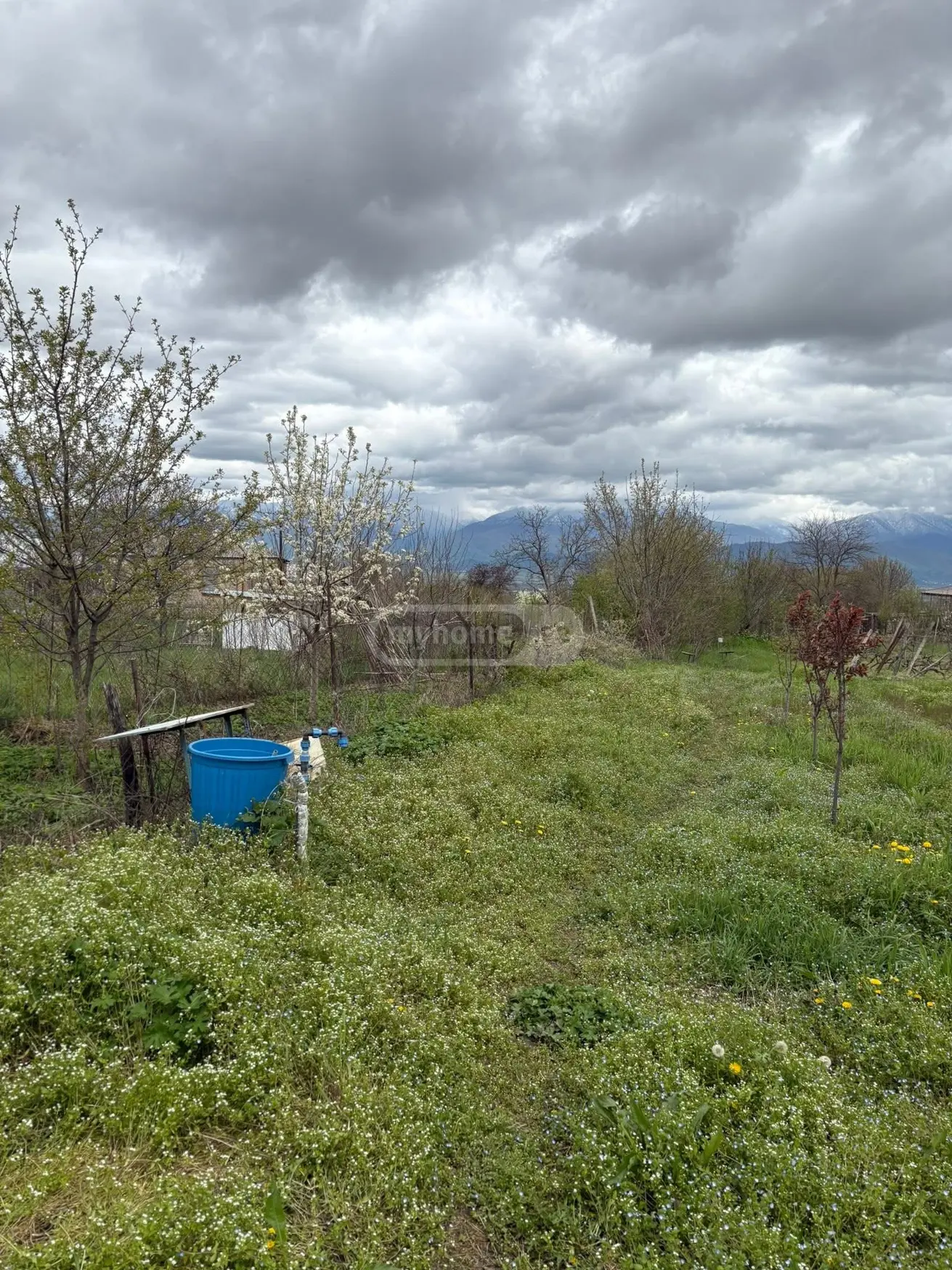 Agricultural Plot For Sale In Vardisubani, In Telavi Municipality view 3