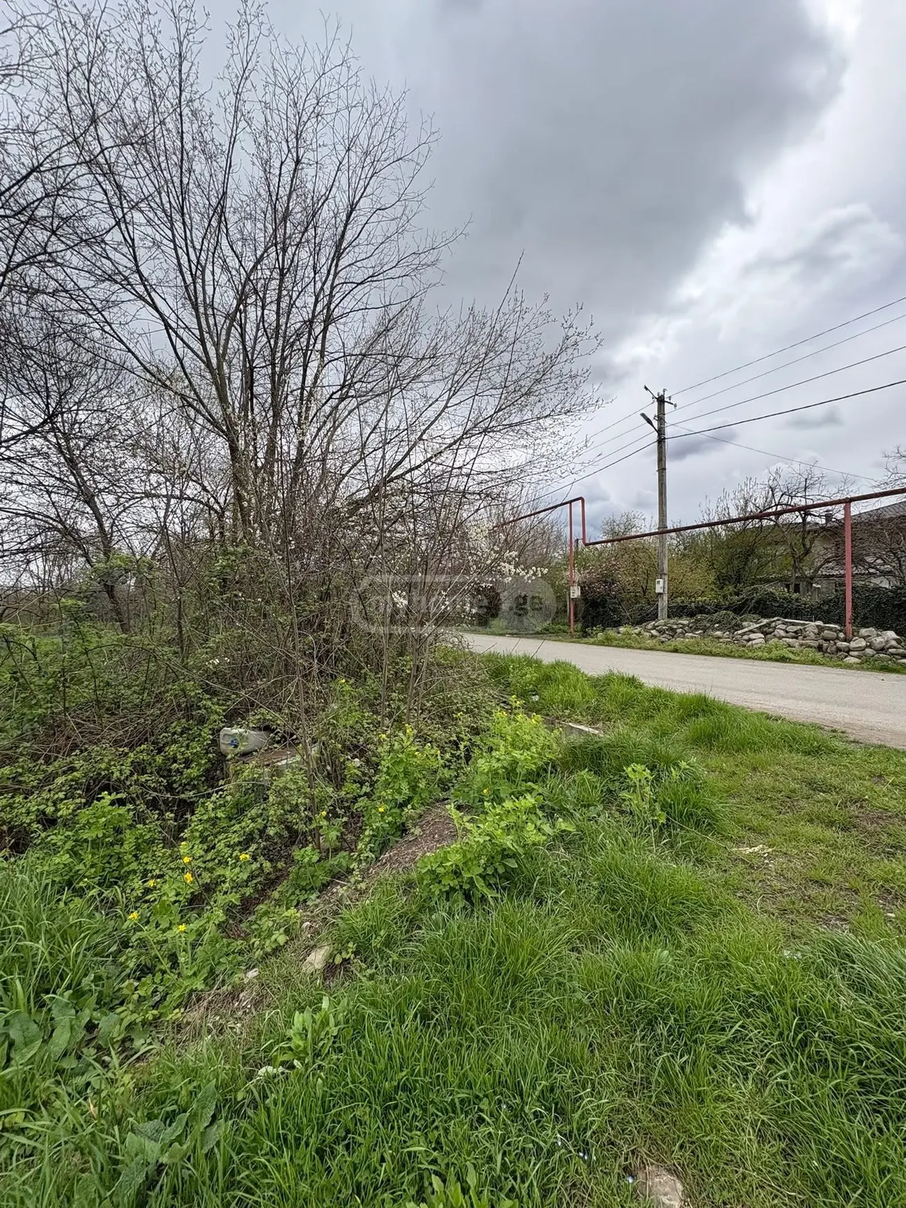 Agricultural Plot For Sale In Ruispiri, In Telavi Municipality view 5