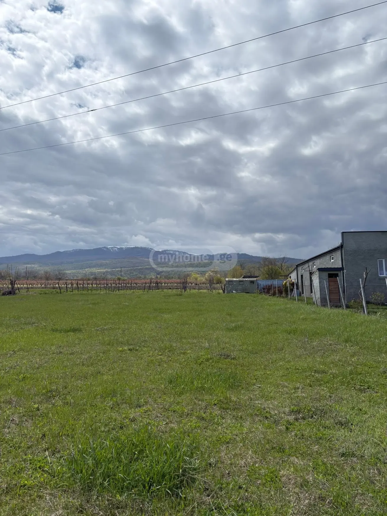 Agricultural Plot For Sale In Ruispiri, In Telavi Municipality view 4