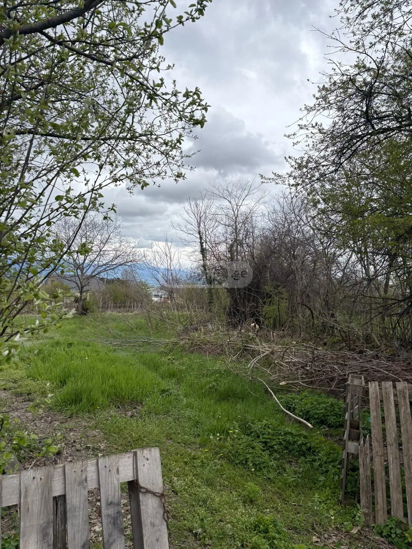 Agricultural Plot For Sale In Vardisubani, In Telavi Municipality view 2