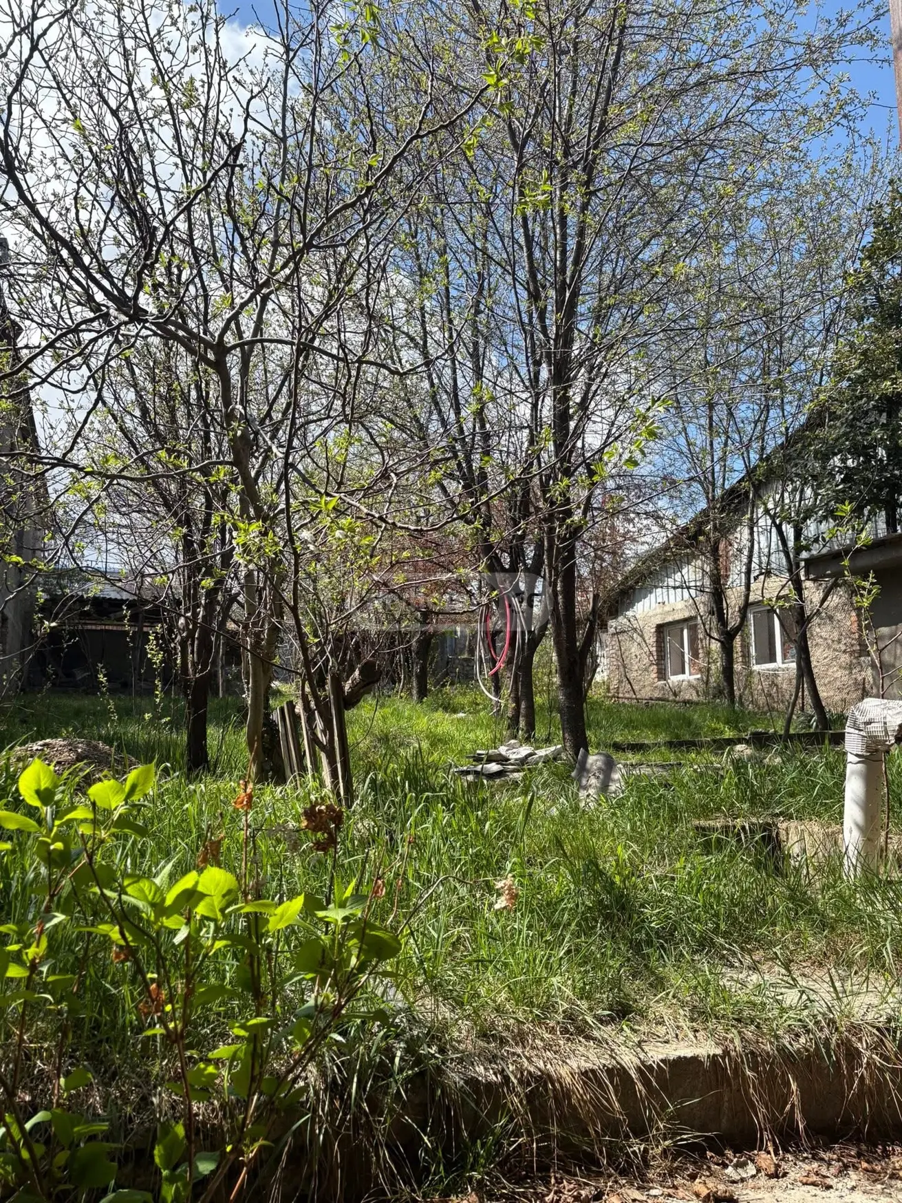 იყიდება 10+ Room Private House In Telaviში view 13