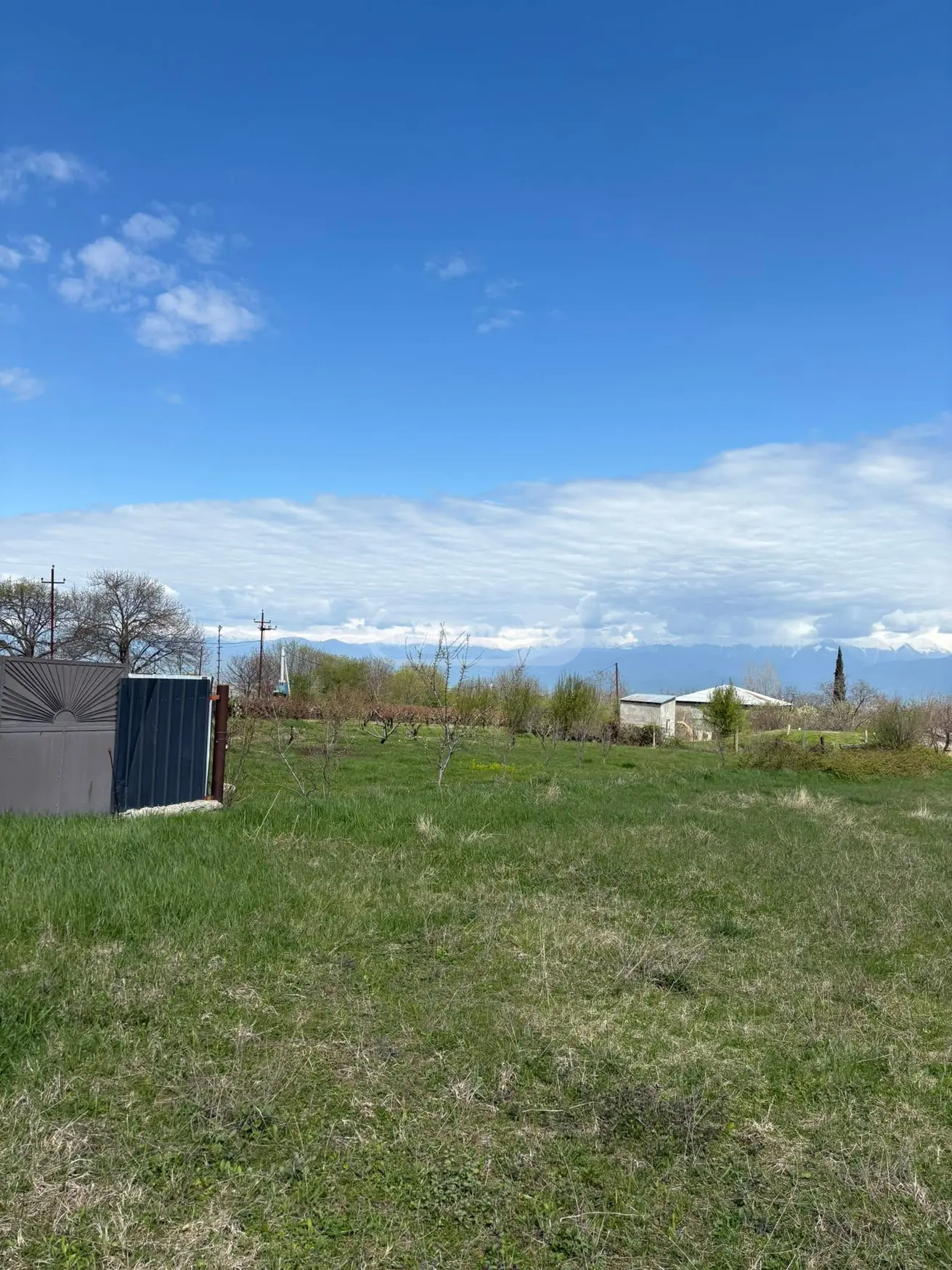Agricultural Plot For Sale In Ruispiri, In Telavi Municipality view 6
