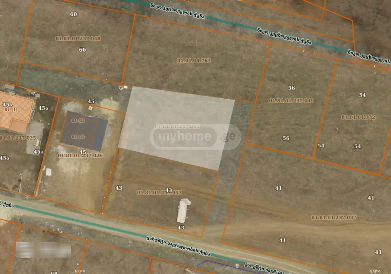 Non-Agricultural Plot For Sale In Kojori view 3