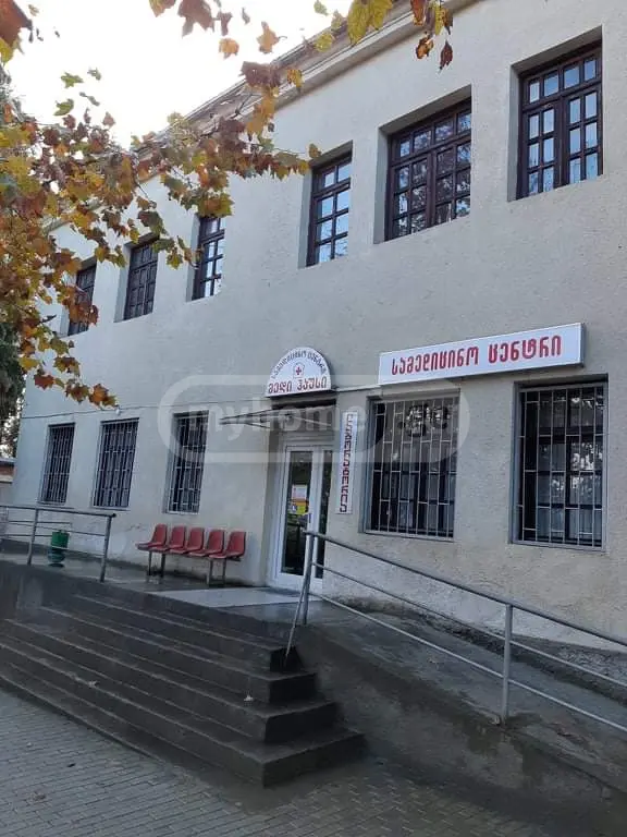 Universal Commercial Area For Rent In Ozurgeti view 1