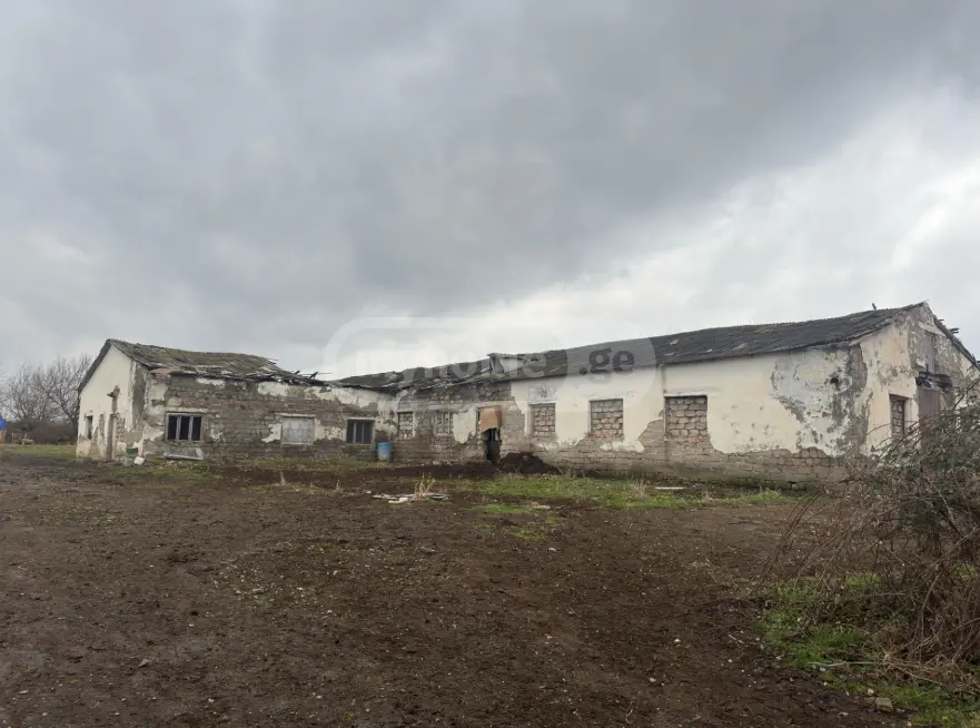 Manufacturing Commercial Area For Sale In Gurjaani (Village), In Gurjaani view 1