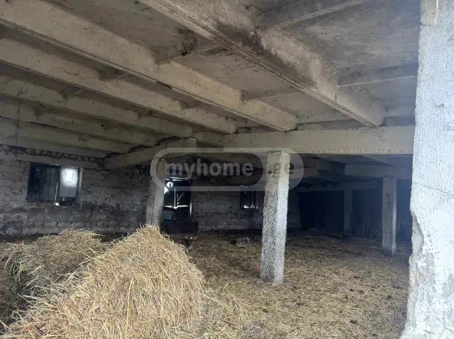 Manufacturing Commercial Area For Sale In Gurjaani (Village), In Gurjaani view 8