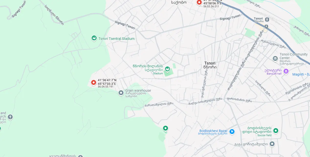 Manufacturing Commercial Area For Sale In Signagi view 9