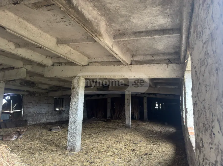 Manufacturing Commercial Area For Sale In Gurjaani (Village), In Gurjaani view 5