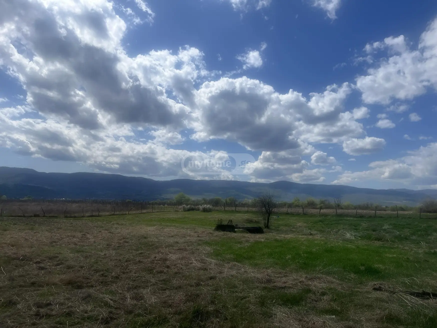 Manufacturing Commercial Area For Sale In Akhmeta view 6