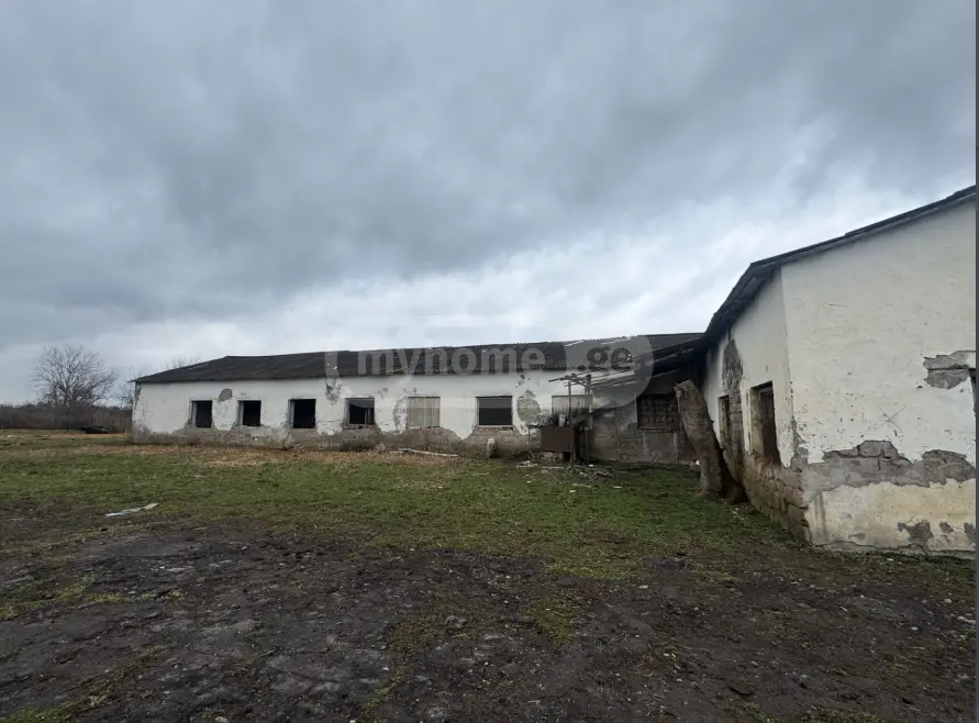 Manufacturing Commercial Area For Sale In Gurjaani (Village), In Gurjaani view 7