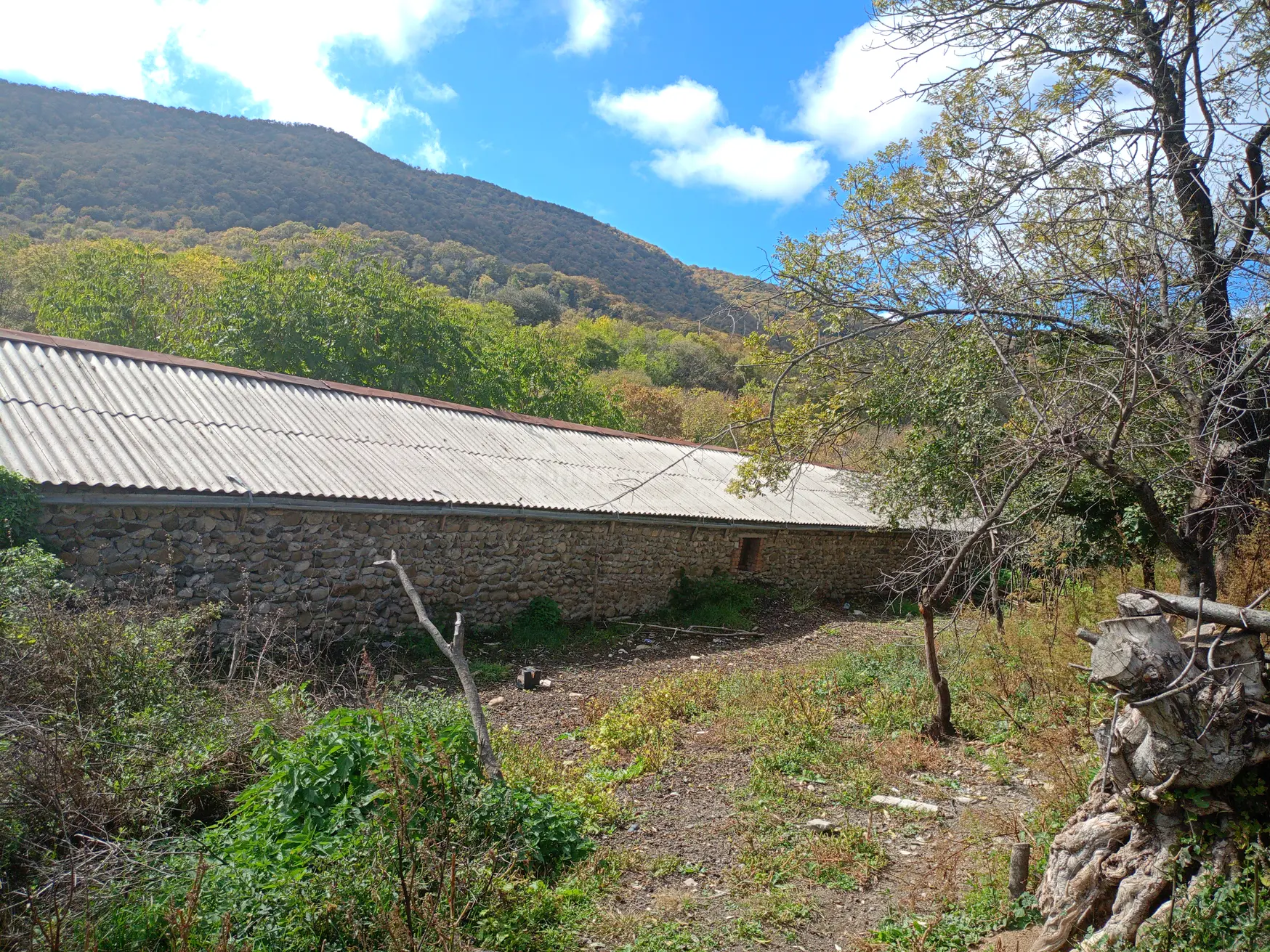 Продажа Manufacturing Commercial Area в In Gurjaani (Village), In Gurjaani view 4