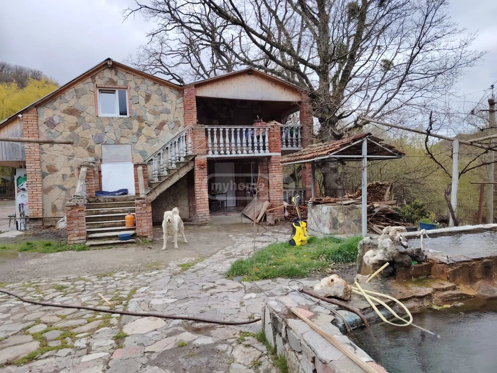 Food Object Commercial Area For Sale In Mamkoda, In Mtskheta Municipality view 7