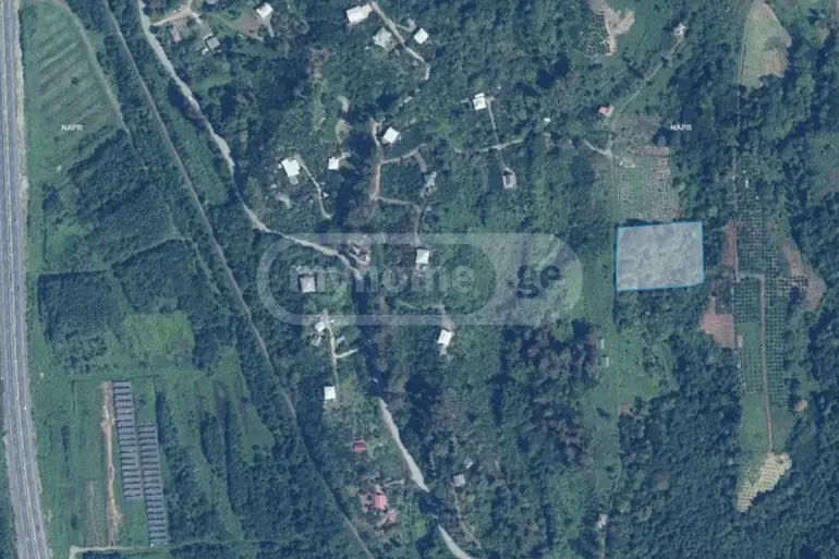 Agricultural Plot For Sale In Shekvetili, In Ozurgeti Municipality view 1