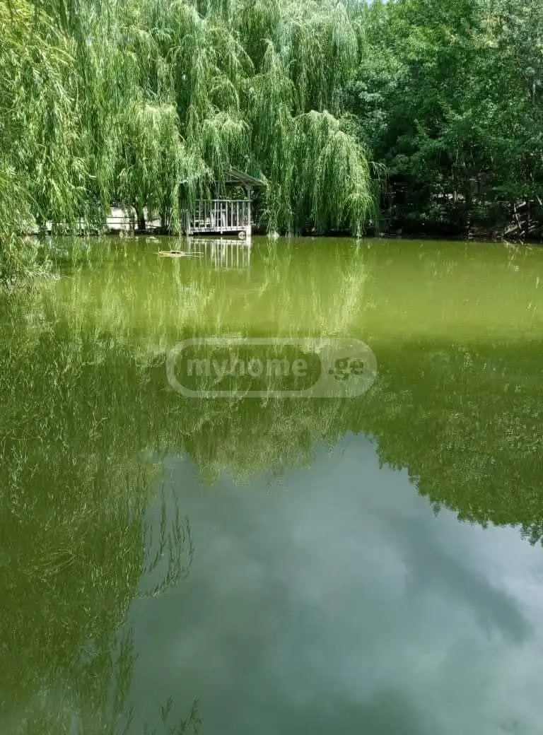 Food Object Commercial Area For Sale In Mamkoda, In Mtskheta Municipality view 9