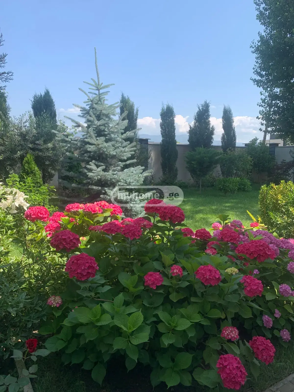 7 Room Private House For Sale view 13