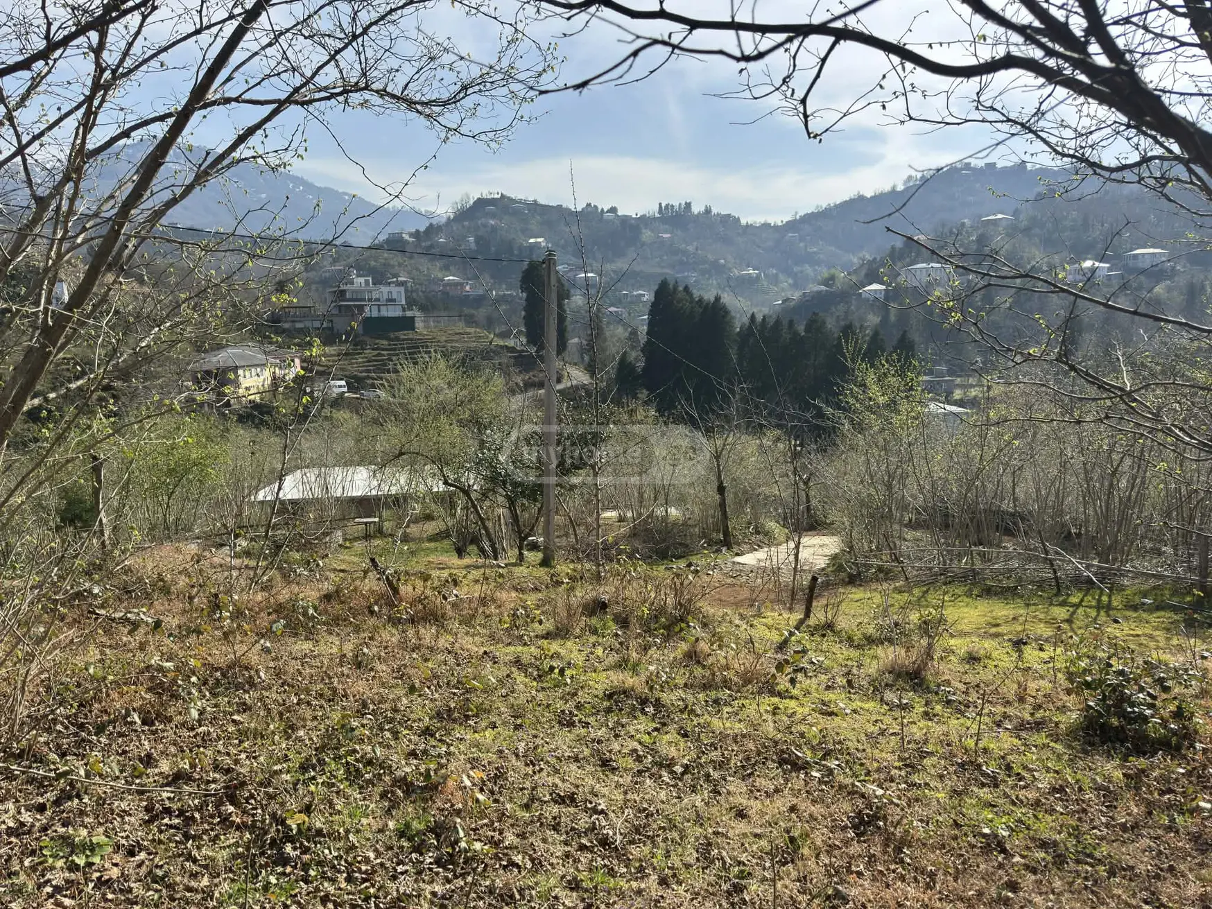 Agricultural Plot For Sale In Tsinsvla, In Khelvachauri Municipality view 2