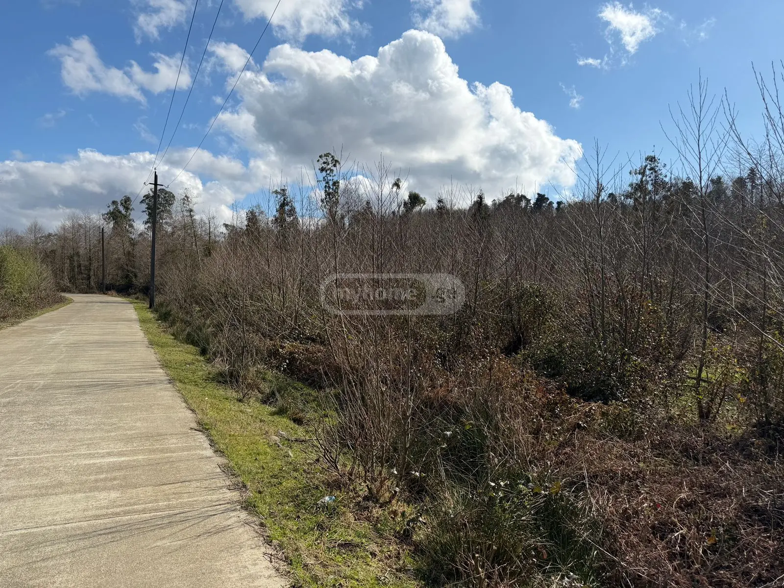 Agricultural Plot For Sale In Ureki, In Ozurgeti Municipality view 8