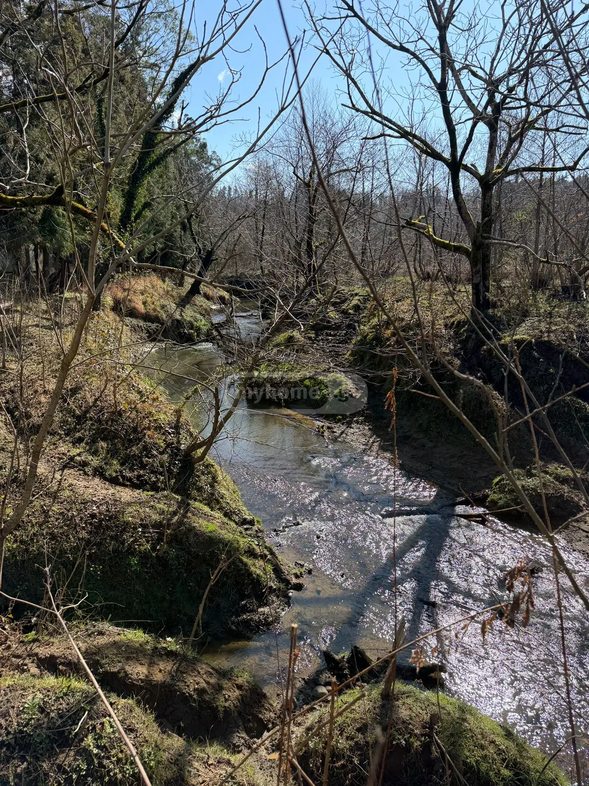 Agricultural Plot For Sale In Ureki, In Ozurgeti Municipality view 11