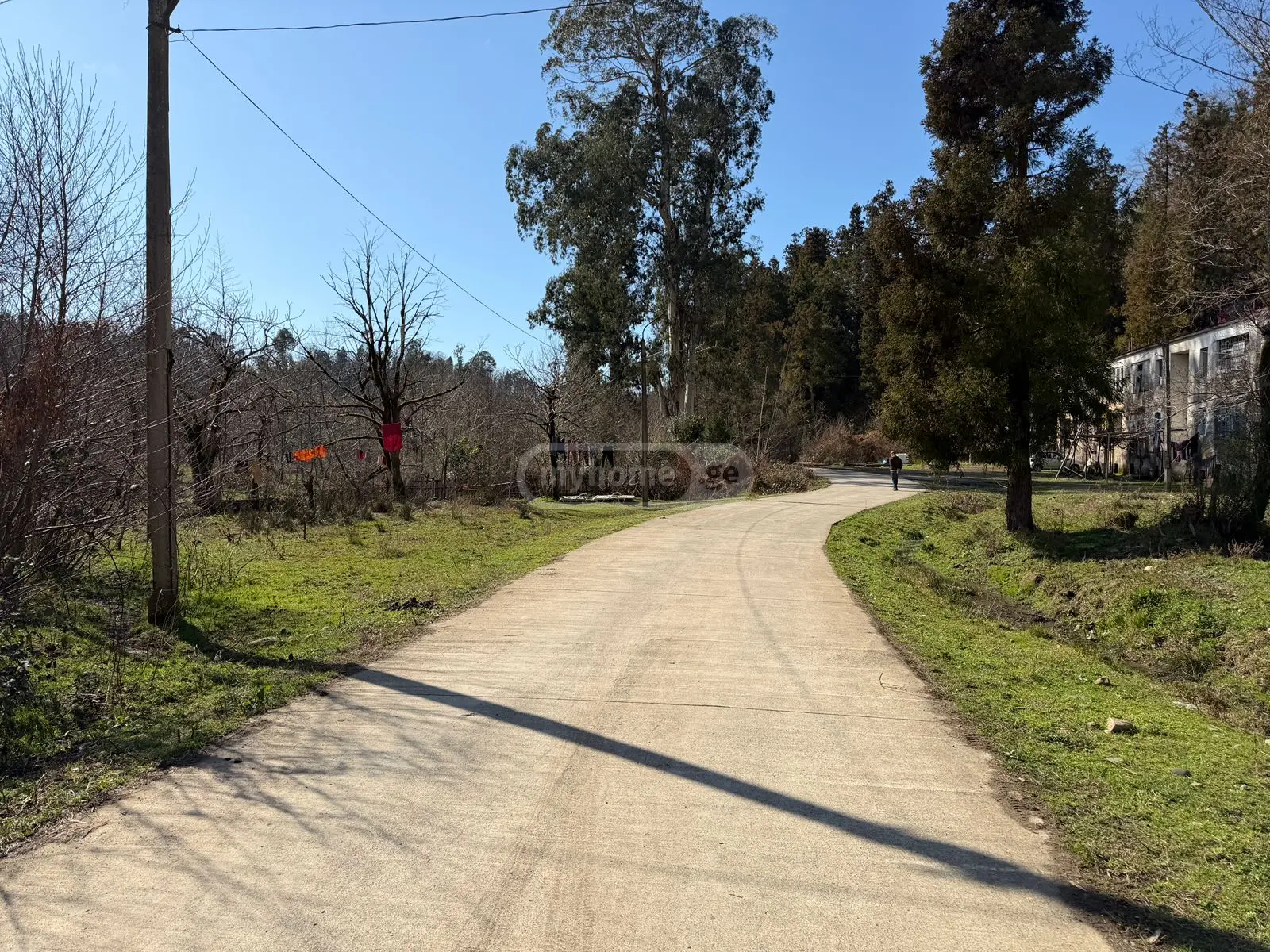 Agricultural Plot For Sale In Ureki, In Ozurgeti Municipality view 9