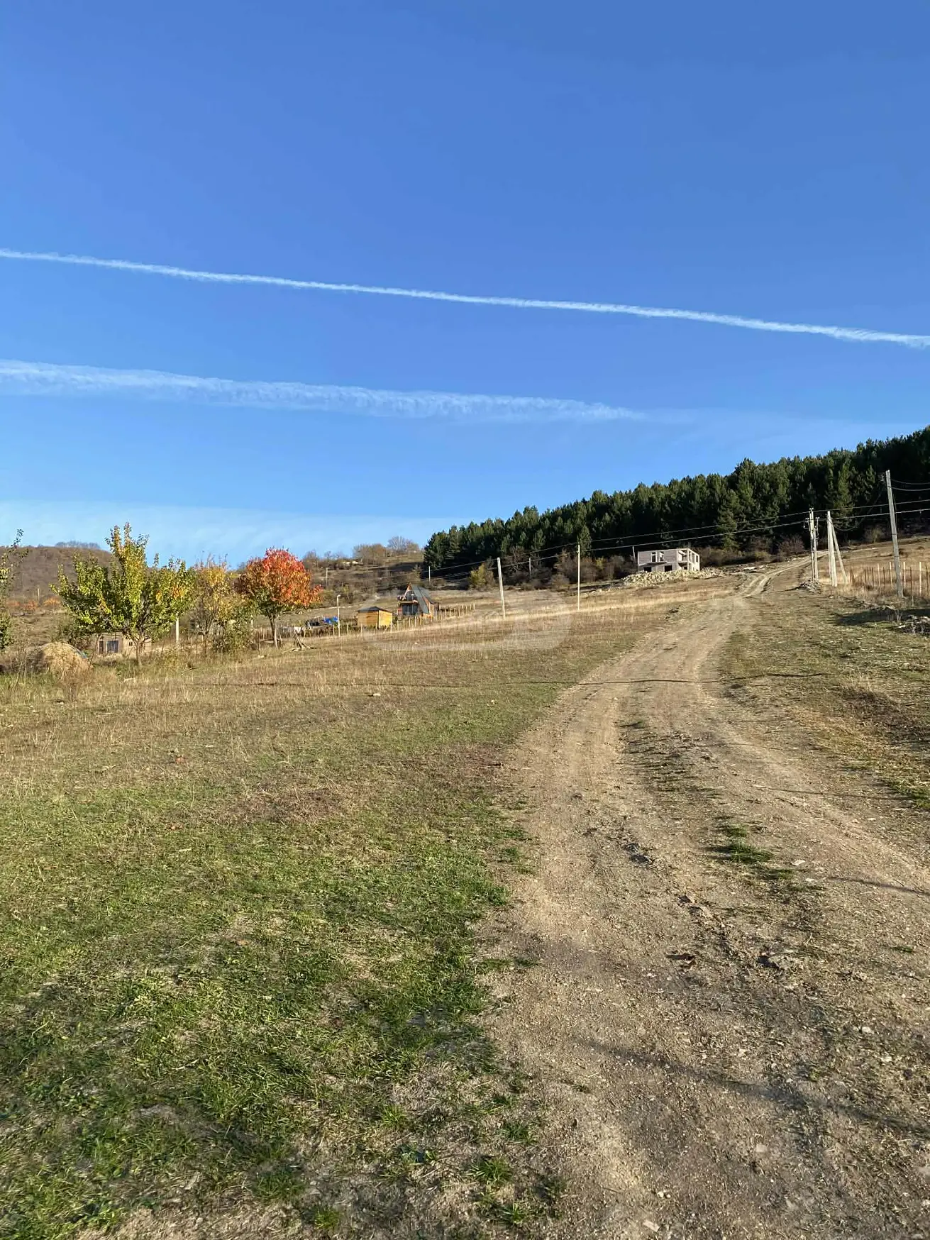 იყიდება Agricultural Plot In Dushetiში view 14