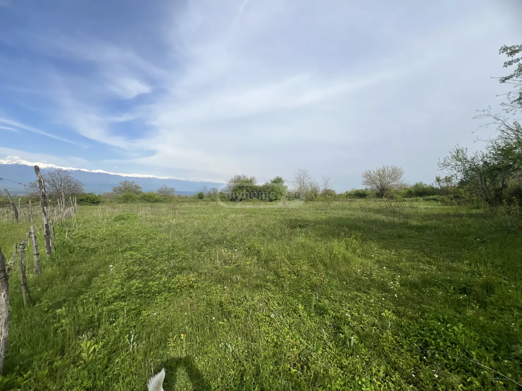 იყიდება Agricultural Plot In Vazisubani, In Gurjaani Municipalityში view 1