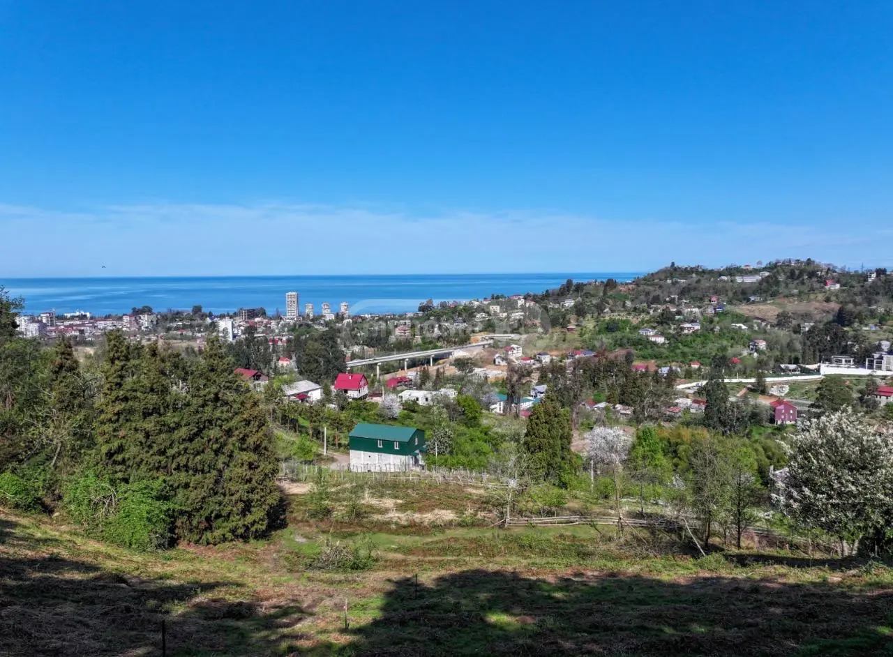 Non-Agricultural Plot For Sale In Makhinjauri, In Batumi view 3