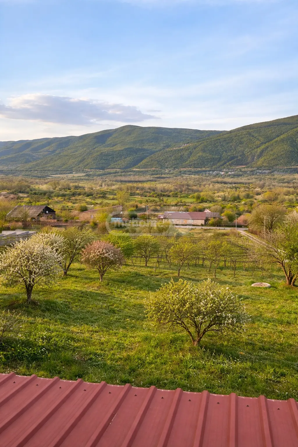 4 Room Country House Daily Rent In Kavtiskhevi, In Kaspi Municipality view 6