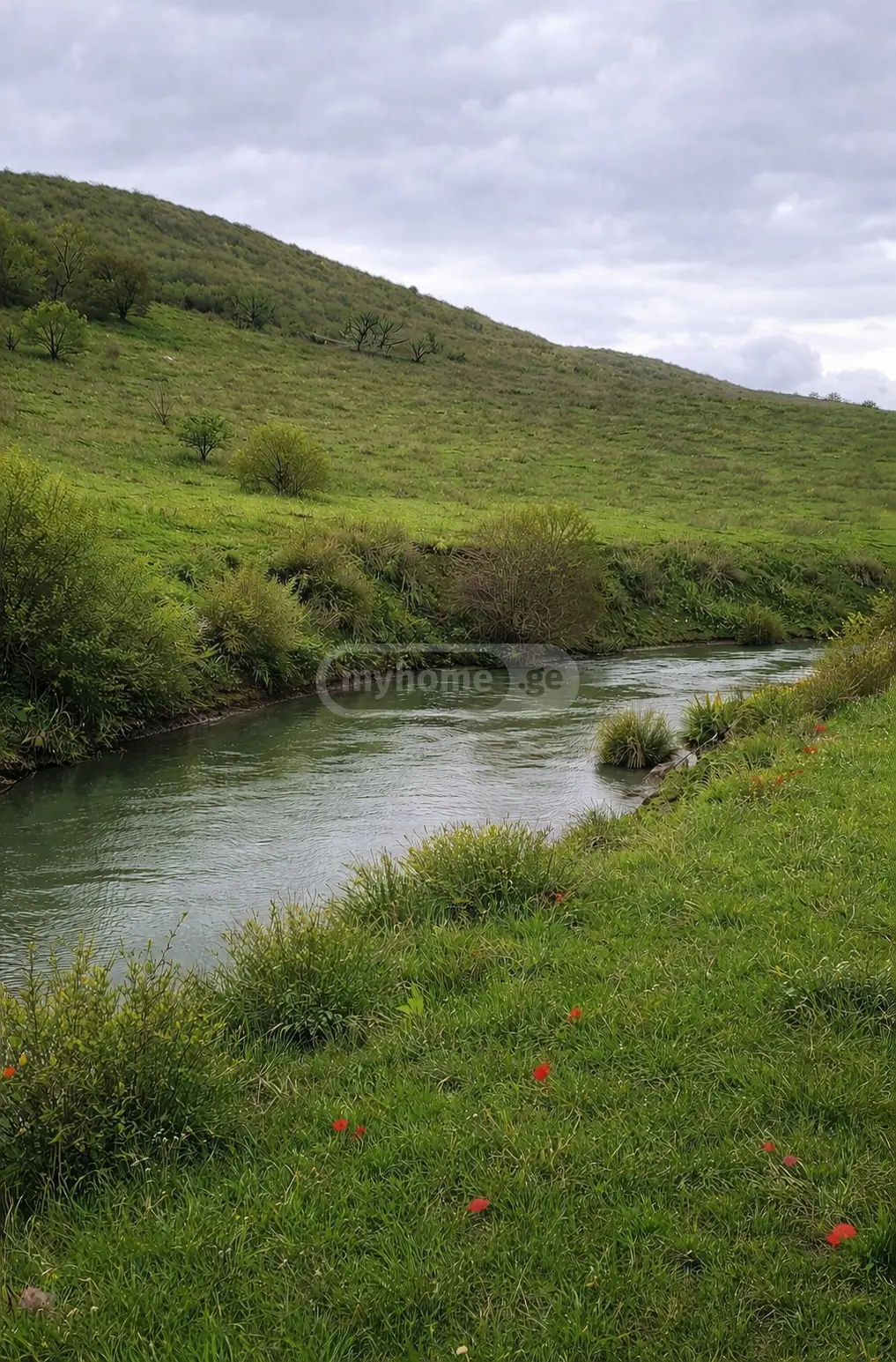 4 Room Country House Daily Rent In Kavtiskhevi, In Kaspi Municipality view 7